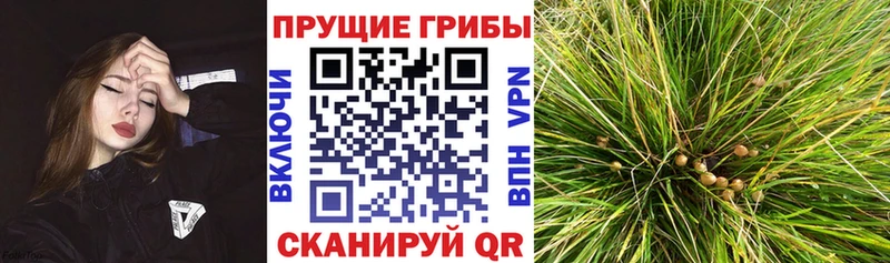 Псилоцибиновые грибы мухоморы  где купить наркоту  МЕГА рабочий сайт  Радужный 